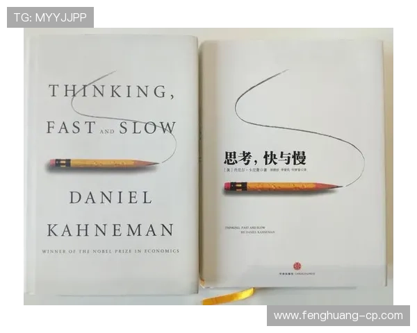 以斯托奇为核心解析现代经济学中理性选择与行为决策的深度关系